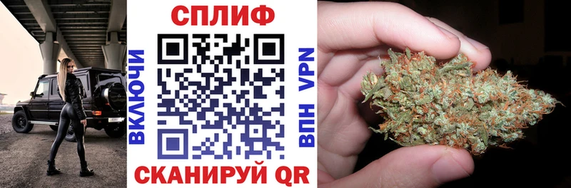 где найти наркотики  Канаш  МАРИХУАНА сатива 